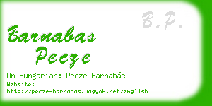 barnabas pecze business card